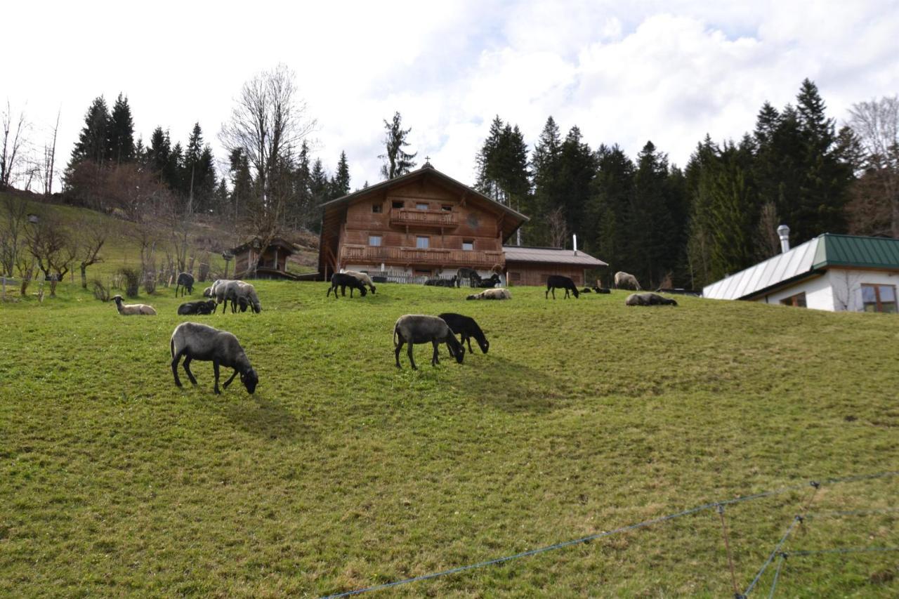 Brandhof Lägenhet Reith Exteriör bild