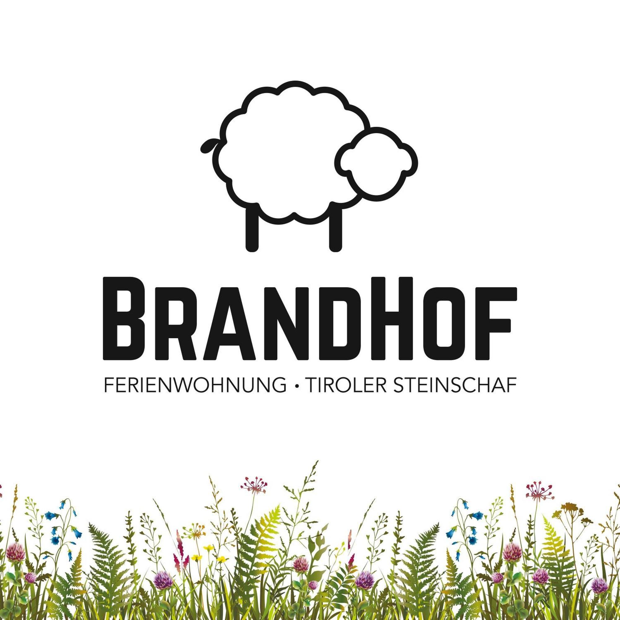 Brandhof Lägenhet Reith Exteriör bild